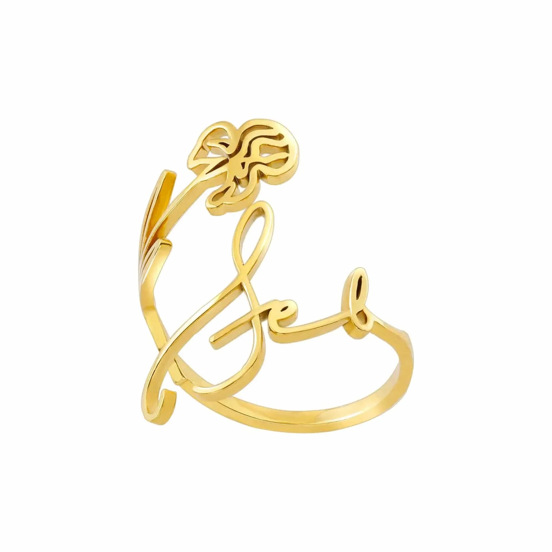 Ring Geburtsmonat Gravur Horaclek